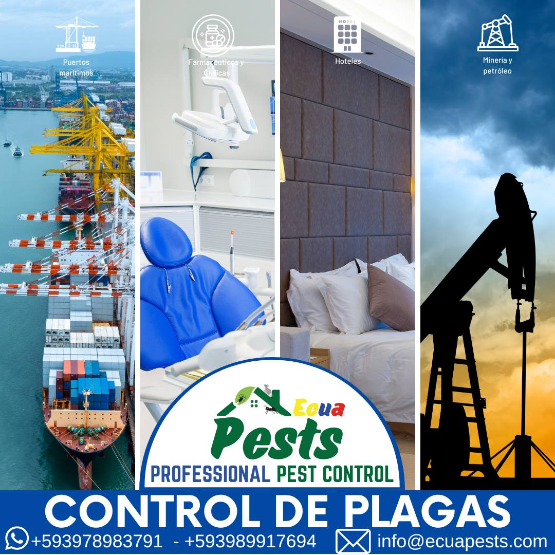 449230193_436317419308471_1738060379749652348_n 449230193_436317419308471_1738060379749652348_n