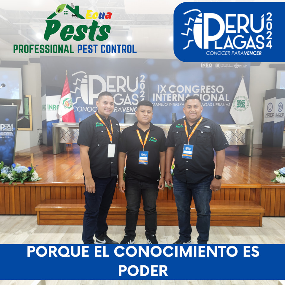 450509750_446643814942498_5072307545751976784_n 450509750_446643814942498_5072307545751976784_n