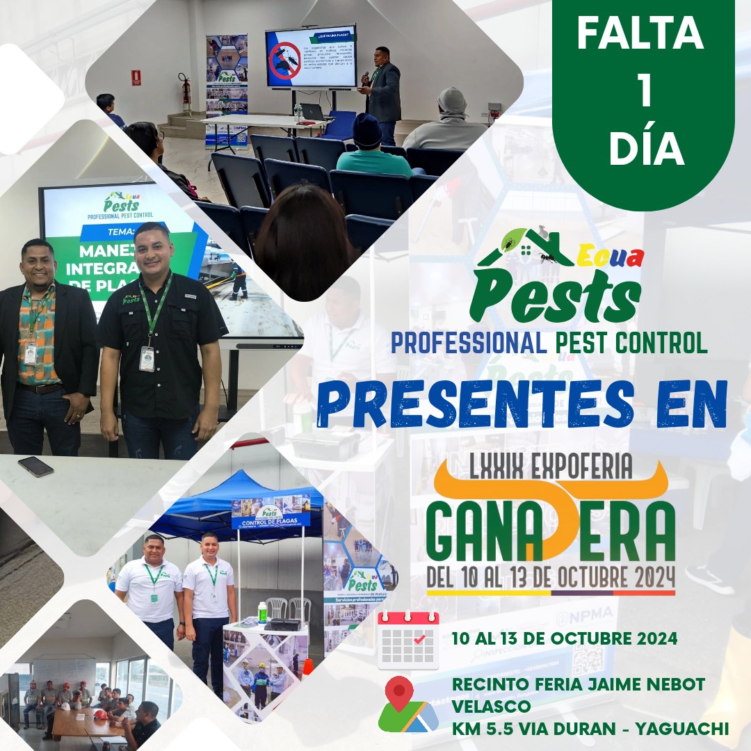 462588898_507167612223451_7287249945006815981_n 462588898_507167612223451_7287249945006815981_n