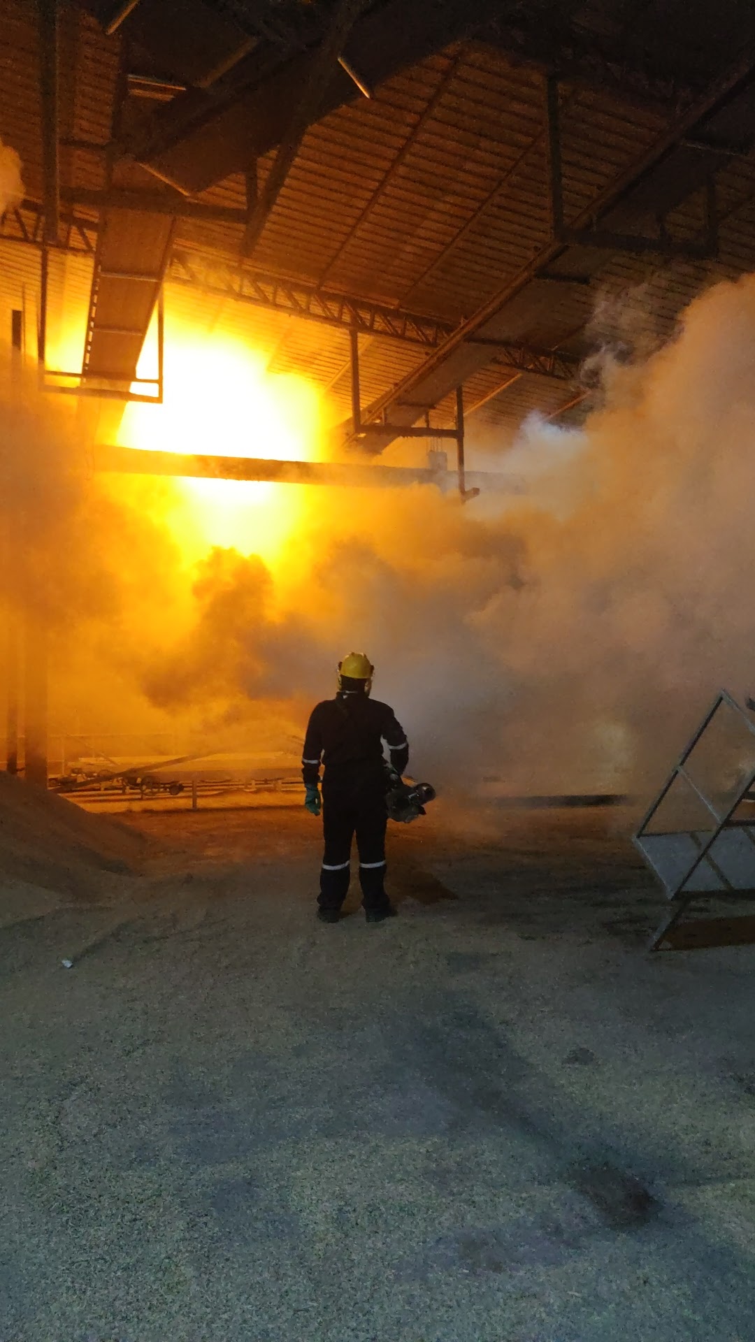 IMG_20240725_180449 IMG_20240725_180449