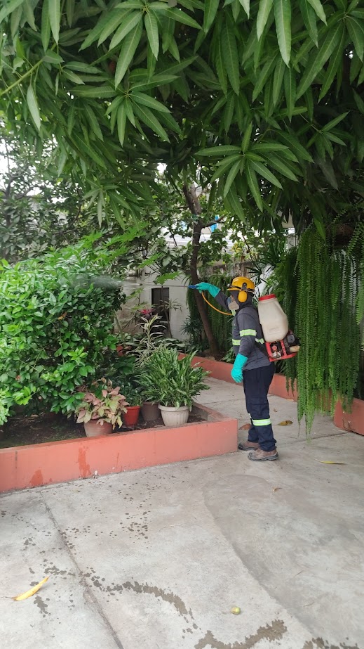 IMG_20240827_084231 IMG_20240827_084231