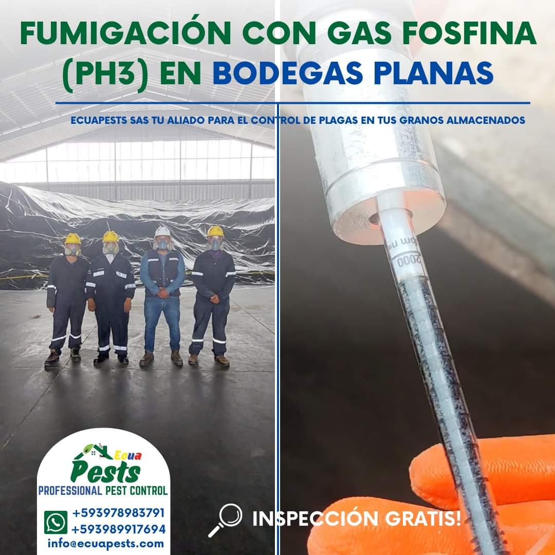 Imagen de WhatsApp 2024-10-22 a las 12.02.45_1f4c821d Imagen de WhatsApp 2024-10-22 a las 12.02.45_1f4c821d