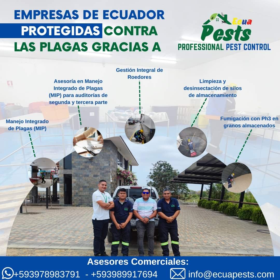 Imagen de WhatsApp 2024-10-22 a las 12.02.45_8ea0524e Imagen de WhatsApp 2024-10-22 a las 12.02.45_8ea0524e