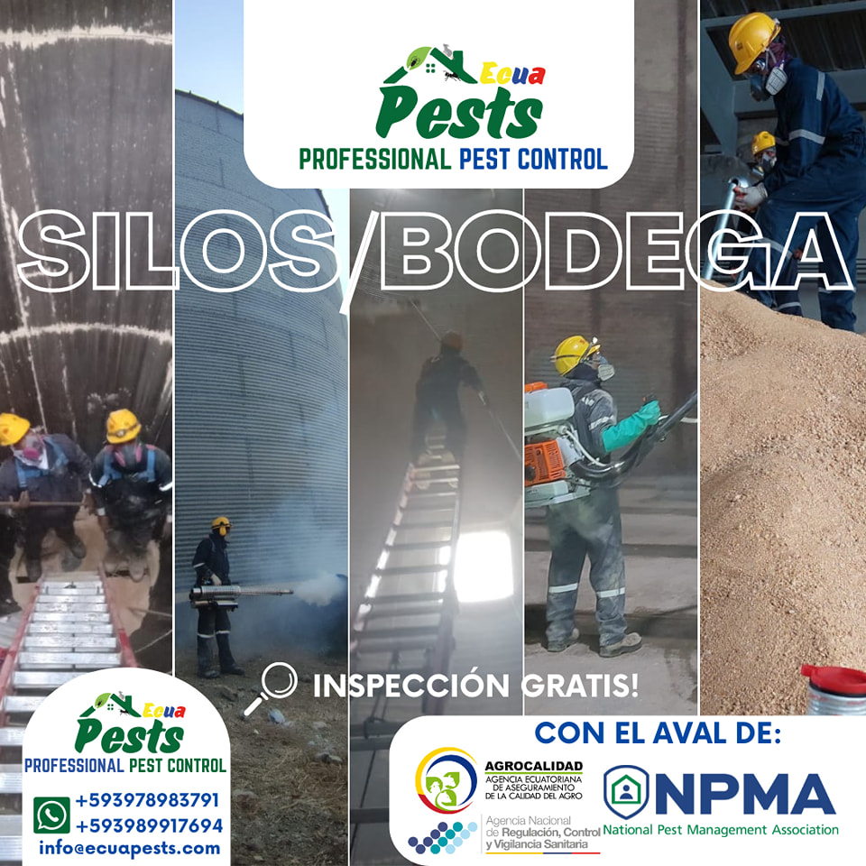 silos y bodegas silos y bodegas